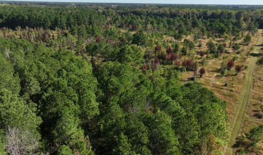 Photo #22 of Law Rd, Pinewood, SC 235.0 acres