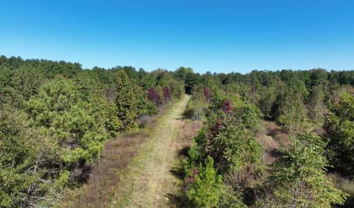 Photo #6 of Law Rd, Pinewood, SC 235.0 acres