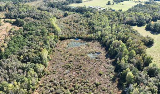 Photo #14 of Law Rd, Pinewood, SC 235.0 acres