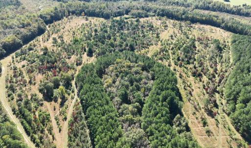 Photo #19 of Law Rd, Pinewood, SC 235.0 acres