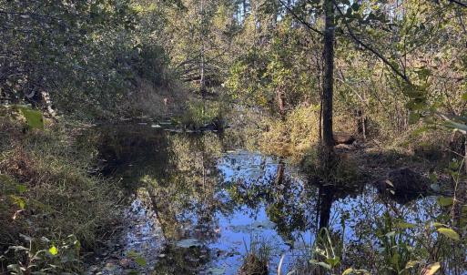 Photo #9 of Law Rd, Pinewood, SC 235.0 acres