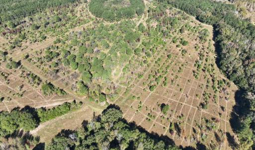 Photo #18 of Law Rd, Pinewood, SC 235.0 acres