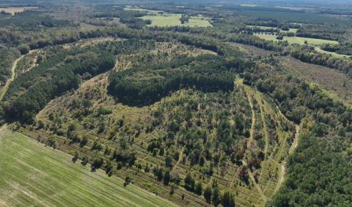 Photo #20 of Law Rd, Pinewood, SC 235.0 acres