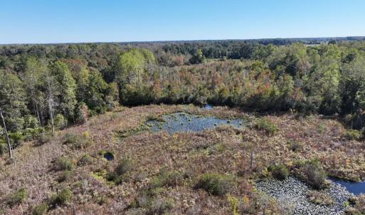 Photo #10 of Law Rd, Pinewood, SC 235.0 acres