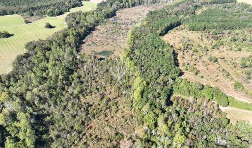 Photo #16 of Law Rd, Pinewood, SC 235.0 acres