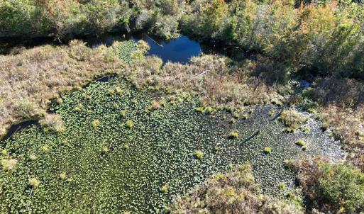 Photo #7 of Law Rd, Pinewood, SC 235.0 acres