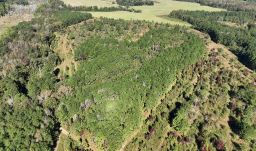 Photo #17 of Law Rd, Pinewood, SC 235.0 acres