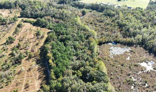 Photo #15 of Law Rd, Pinewood, SC 235.0 acres