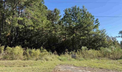 View of undeveloped land
