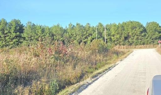 View of dirt / gravel road with a view of trees
