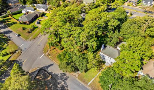 Aerial view of residential area with a tree filled