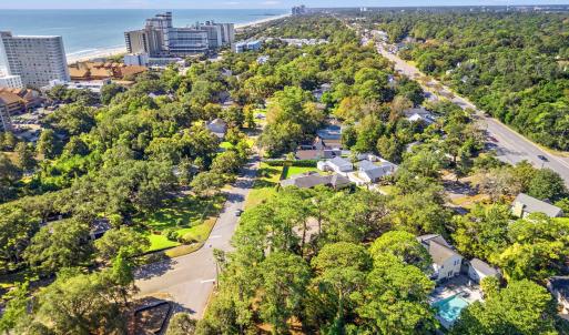 Aerial view of a nearby body of water and a tree f