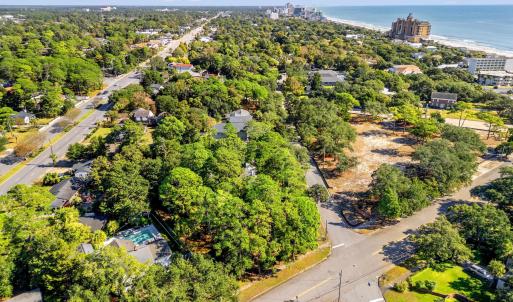 Aerial view of a nearby body of water and a tree f