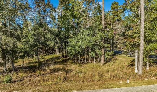 View of undeveloped land