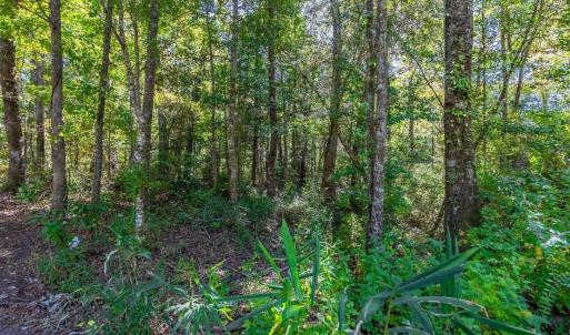 Photo #17 of TBD Barnes Rd., Andrews, SC 1.0 acres