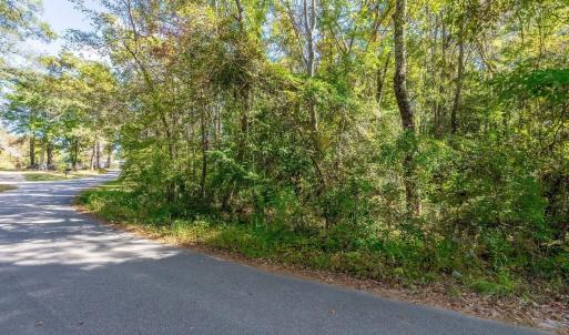 Photo #18 of TBD Barnes Rd., Andrews, SC 1.0 acres