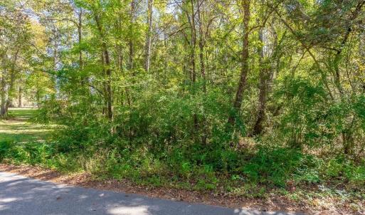 Photo #14 of TBD Barnes Rd., Andrews, SC 1.0 acres