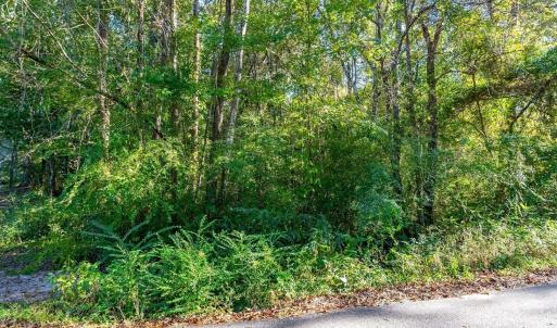 Photo #12 of TBD Barnes Rd., Andrews, SC 1.0 acres