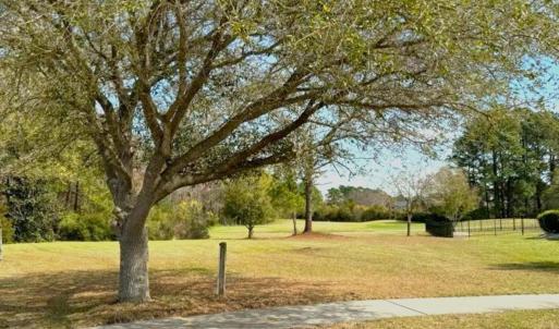 View of home's community with a lawn