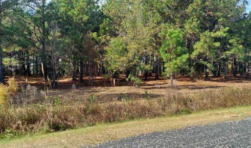 View of asphalt road