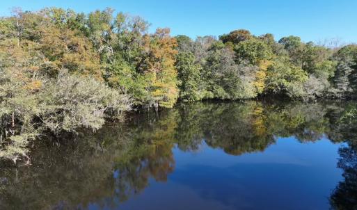 Photo #1 of Martin Luther King Jr. Hwy., Kingstree, SC 141.0 acres