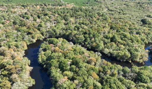 Photo #4 of Martin Luther King Jr. Hwy., Kingstree, SC 141.0 acres