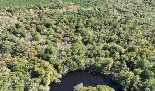 Photo #3 of Martin Luther King Jr. Hwy., Kingstree, SC 141.0 acres