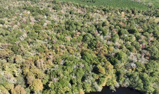 Photo #3 of Martin Luther King Jr. Hwy., Kingstree, SC 141.0 acres