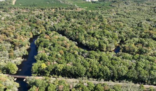 Photo #6 of Martin Luther King Jr. Hwy., Kingstree, SC 141.0 acres