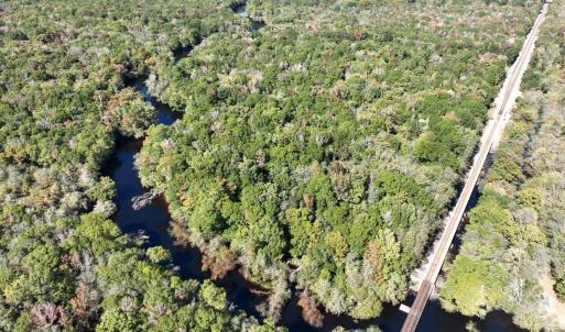 Photo #5 of Martin Luther King Jr. Hwy., Kingstree, SC 141.0 acres