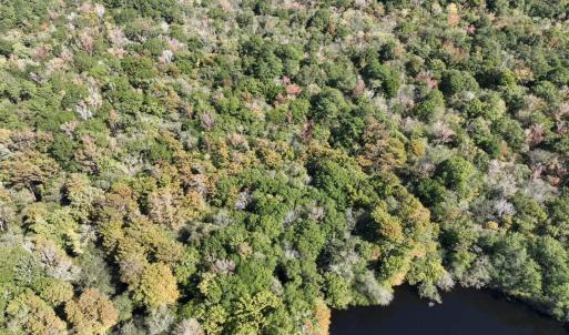 Photo #4 of Martin Luther King Jr. Hwy., Kingstree, SC 141.0 acres