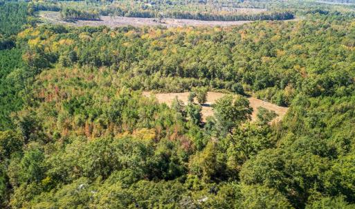 Drone / aerial view of a forest