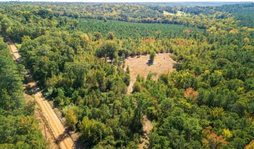 Bird's eye view of a heavily wooded area