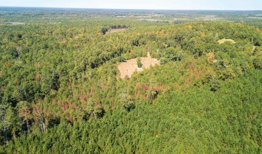Drone / aerial view of a forest