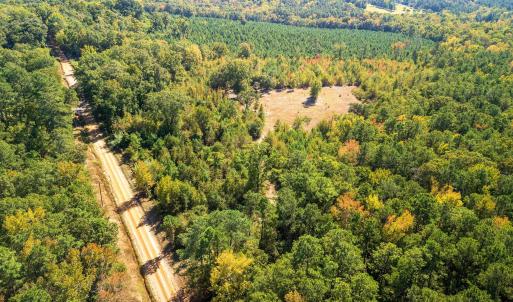 Bird's eye view of a heavily wooded area