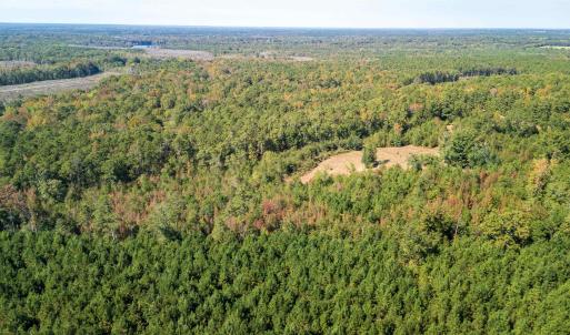 View of property location with a heavily wooded ar