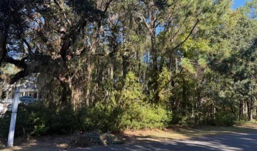 View of undeveloped land with a nearby body of wat
