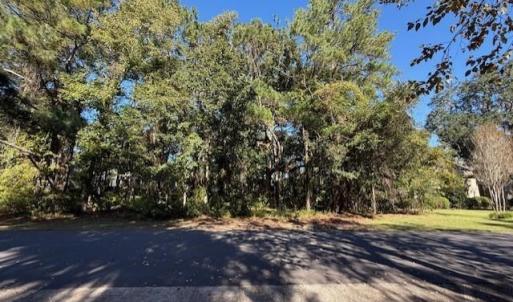 Photo #2 of Lot 227 Summerwood Dr., Georgetown, SC 0.6 acres