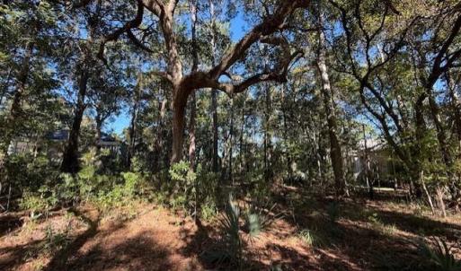 View of asphalt street with a forest view