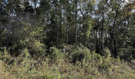 Photo #2 of TBD Old Charleston Rd., Georgetown, SC 2.4 acres