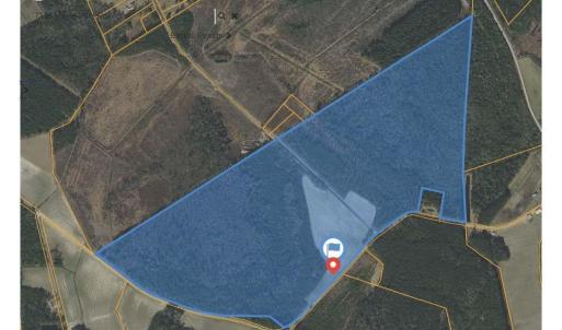 Photo #1 of 7320 Maple Wild Rd, Nichols, SC 178.8 acres