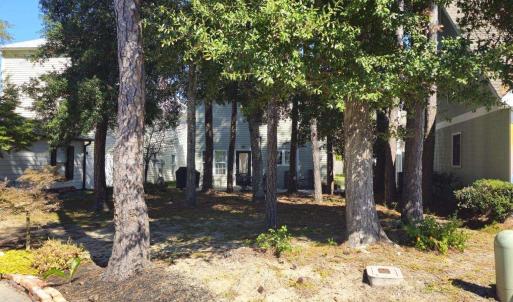 View of property hidden behind natural elements