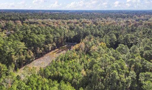 Photo #3 of TBD Long Avenue Ext., Conway, SC 0.7 acres