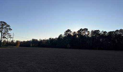 View of yard with a view of trees
