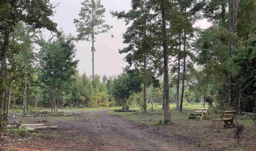 View of undeveloped land