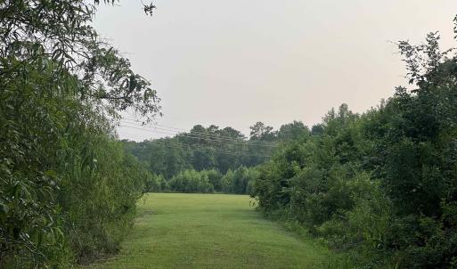 View of woods