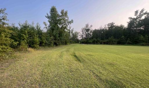 View of grassy yard