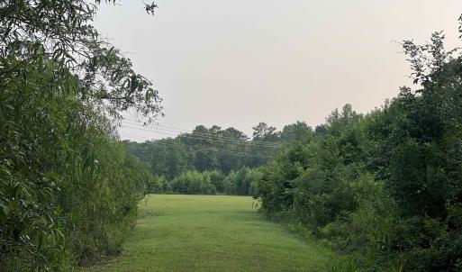 View of woods