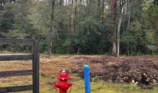 Photo #8 of TBD Ole Maple St., Loris, SC 1.9 acres