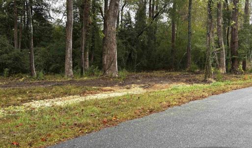Photo #6 of TBD Ole Maple St., Loris, SC 1.9 acres